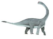 Abrosaurus2