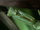 Green praying mantis-monster bug wars