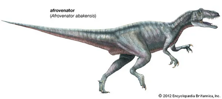 Afrovenator-lf1