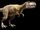 Alioramus rescue-Jurassic kratts