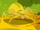 Crab Spider surprise-wild kratts