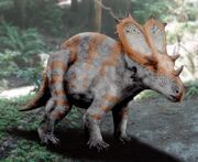 Utahceratops gettyi