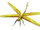 Dragonfly search-Littlefoot (new series)
