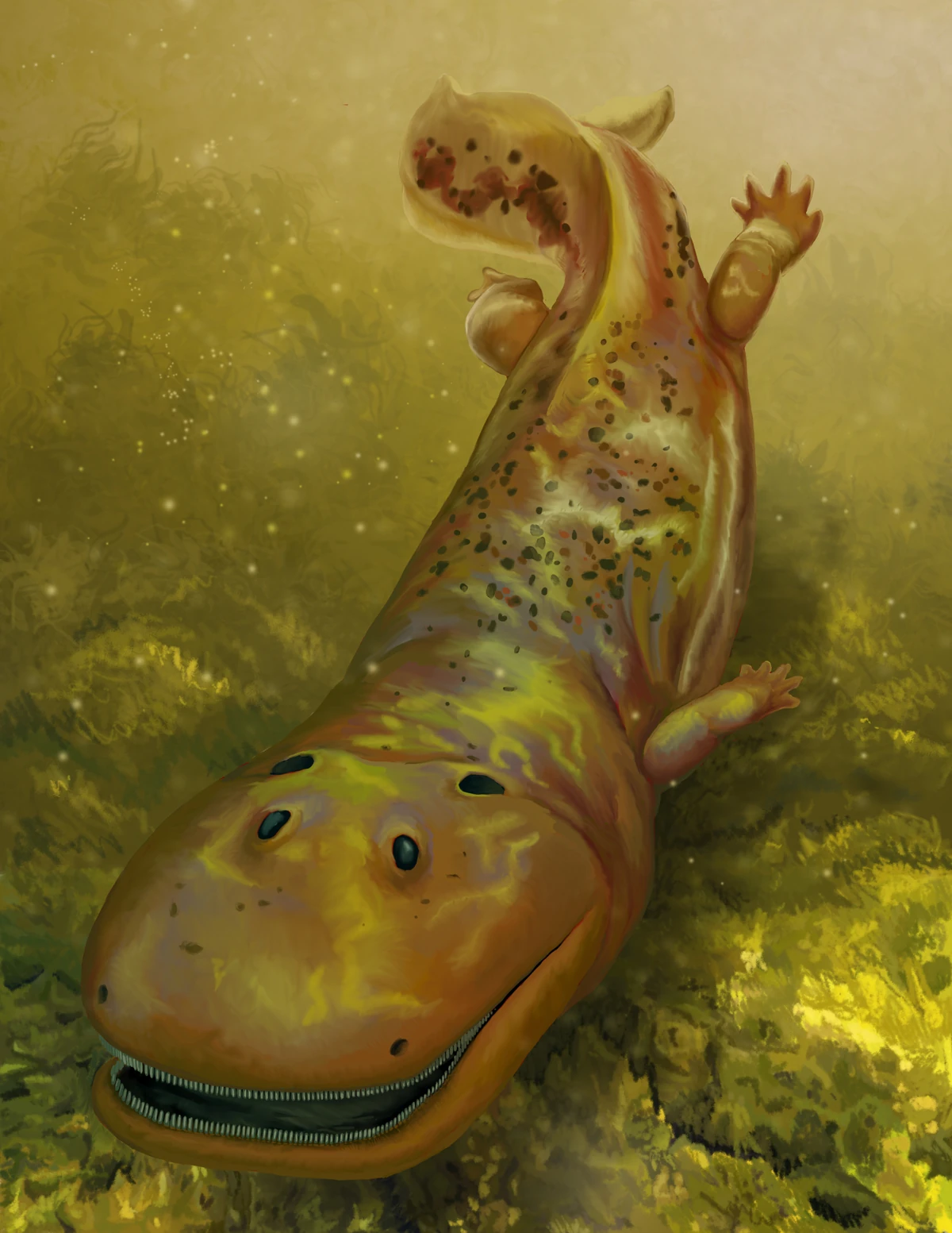 Spathicephalus | New ideas by Matt Weaver Wiki | Fandom