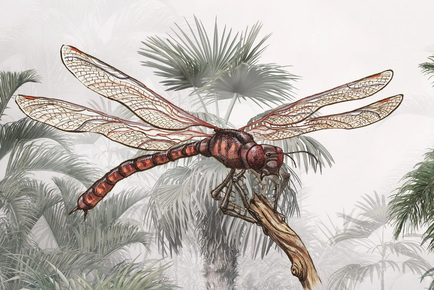DRAGONFLY-giant1-scaled