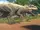 Indominus Rex