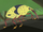 Bugs at last-wild kratts