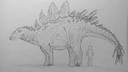 Atercuisaurus-misle1