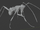 Haidomyrmex