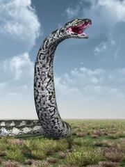 Titanoboa001