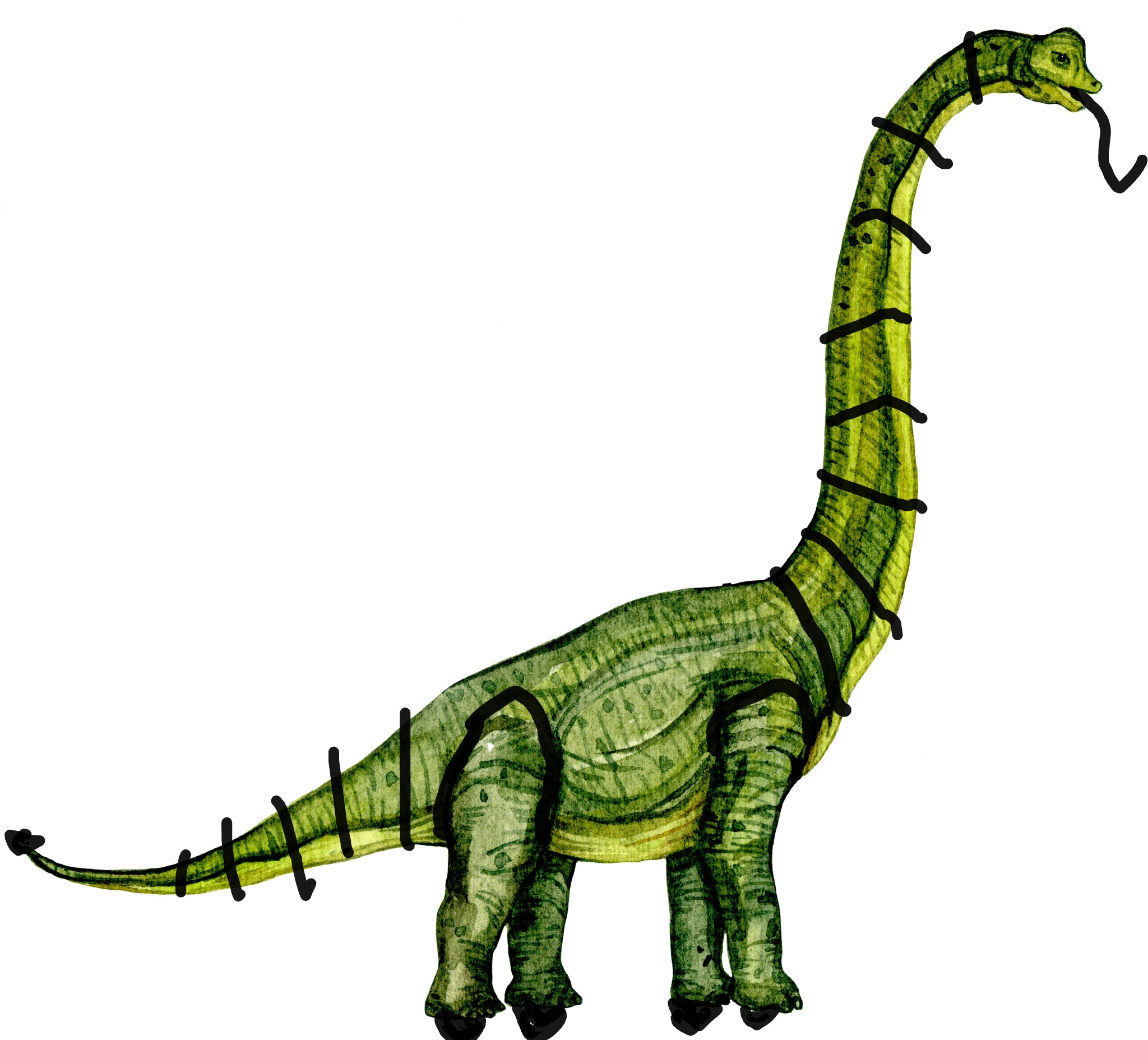dino です Xenoposeitruck-Dinotrux supercharged 2.0 | New ideas by Matt