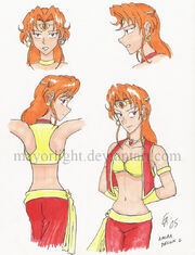 Amira design2