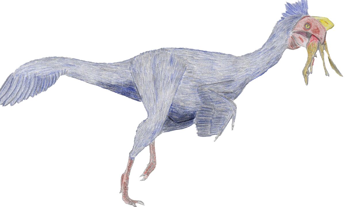 Oviraptor-dinosaur planet remake | New ideas by Matt Weaver Wiki | Fandom