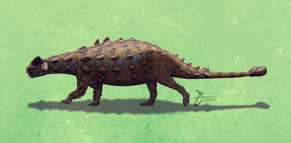 Akainacephalus New ideas by Matt Weaver Wiki Fandom