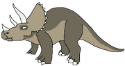 Triceratops