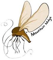 Mountainmidge1