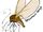 Mountain midge-LBT idea