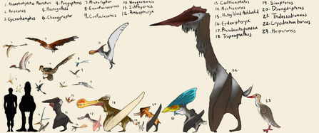 Petro size chart by jurassicsmashed ddo23ex-fullview
