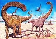 New-dinosaur-hamititan and silutitan