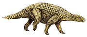 Silvisaurus poster