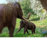 BeFunky-design-mammoth
