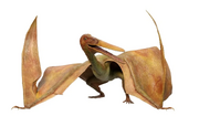 Pterodactyl