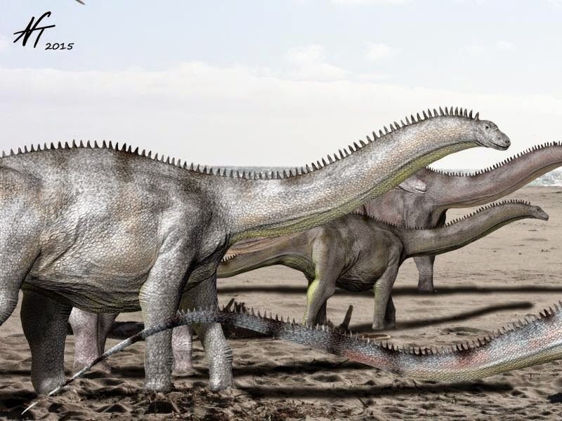 https://static.wikia.nocookie.net/new-ideas-by-matt-weaver/images/7/71/Brontosaurus_NT.jpg/revision/latest/scale-to-width-down/800?cb=20210415154231