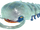 Armored mawdad