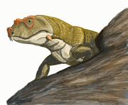 Tetraceratops1