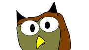 64birdzoolane-greathornedowl1
