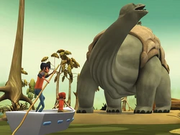 Animated toraton