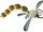 Dandlefly