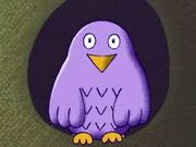 Ollieowl-64zooland1