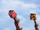 Alamocraneosaurs-dinotrux