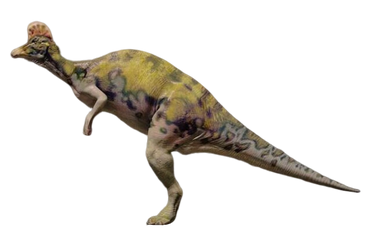 CorythoJPIIIimage