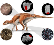 Gobihadros ZPAL MgD-III 3 life reconstruction