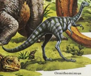 Rourke Ornithomimus