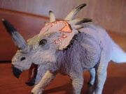 Cc-styracosaurus1