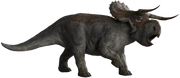 Female Nasutoceratops render
