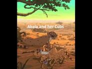 NARRKY 'S SAFARI FOR STARLAND KREW WITH NAARKY ADAVARK aadavarks hyenas CARACALS [ MAIN ] ASIAN WHITE ELEPHANTS BENGAL WHITE TIGERS POLAR BEARS KOALAS GIANT PANDAS HUMANS N BOYS BEARS ORANGUTANS GIANT SLOTHS [ JUNGLE ] LEATHERBACK TURTLES [ OCEAN ] [ FULL SAFARI ]
