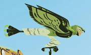 Goshawk suit