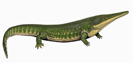 ArchegosaurusDB3