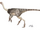 A Wild Anserimimus chase-Jurassic Kratts