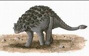 Shamosaurus ac33