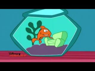 Dennisfish1