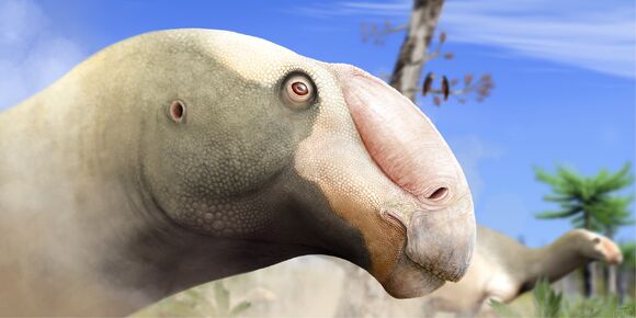 Choyrodon-dinohead1