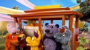 Donkeyhodie-trolley