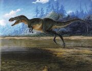 Gorgosaurus