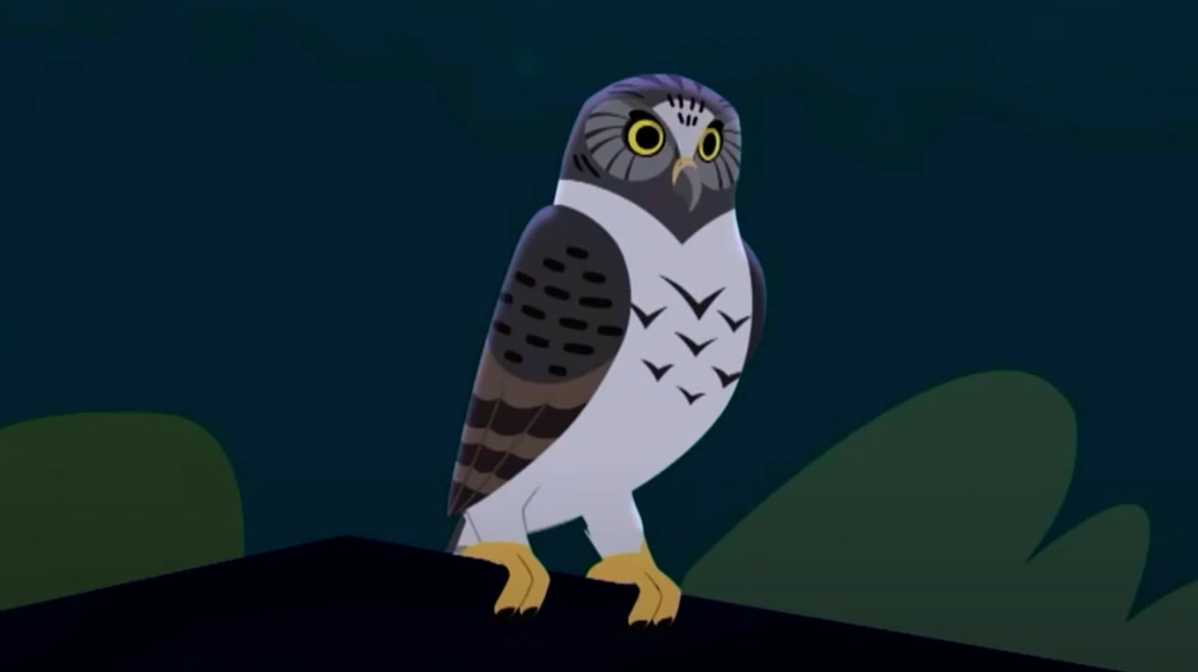 Powerful owl-new Wild Kratts preview | New ideas by Matt Weaver Wiki