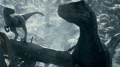 Raptors-jwd1